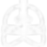 asthma icon