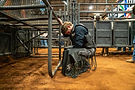 A bull rider rests after a ride, in the arena, leaning against a gate.