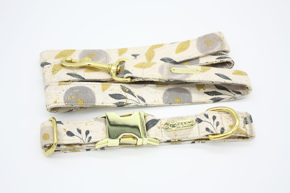 Sličica: Set Flare I