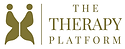 The Therapy Platform.png