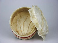 container-1.jpg