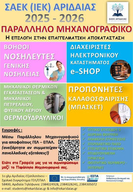 Σαεκ Διεκ Αριδαίας