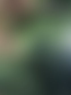 Sonntagsbike-Tour Burgdorf, Lueg, Ferrenberg, Herzogenbuchsee