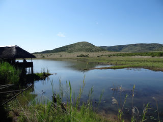 Safari im Pilanesberg Nationalpark ZA