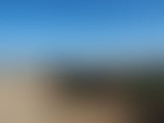 Erste Bilder aus Südafrika