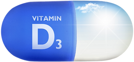 D3 vitamin kapsül