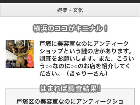 はまれぽさんに掲載されました!