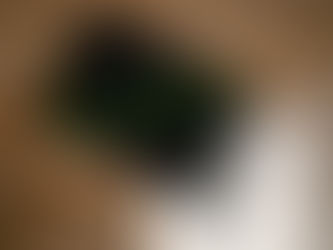 The True Cost of Copywriting: Why Professionals Pay for Themselves