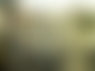 Why Your Articles Are In a Content Graveyard