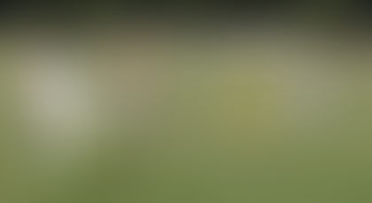 Cricket: The wider benefits for your child