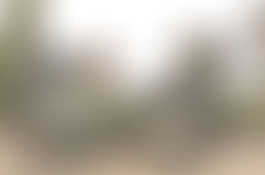 ¿SE ESTÁ DESMANTELANDO EL ESTADO?