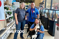 Your paragraph text-4