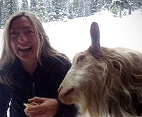 210270804_187189360083907_67629670590006