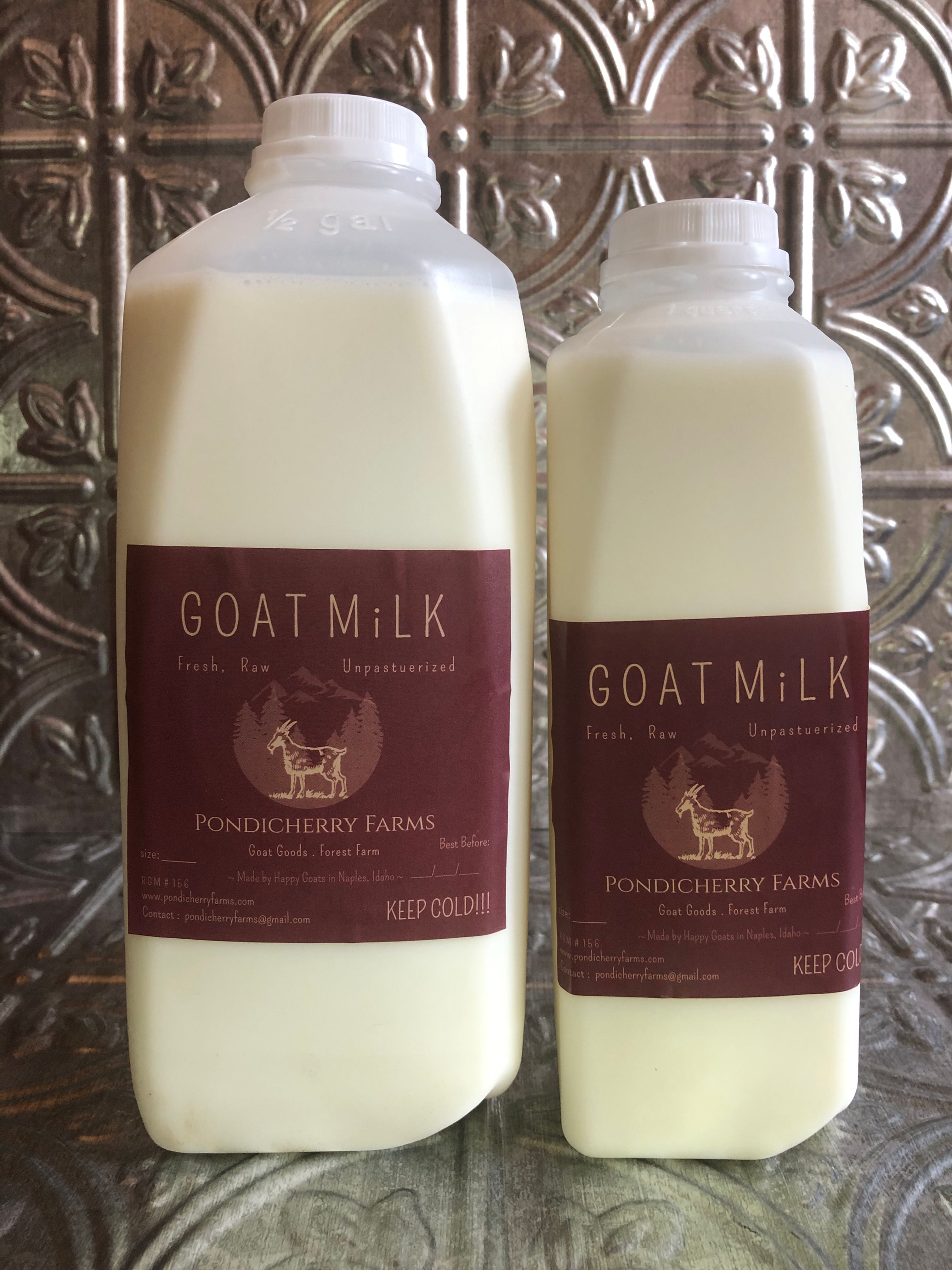 Guernsey Goat Milk