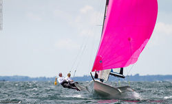 image (8)