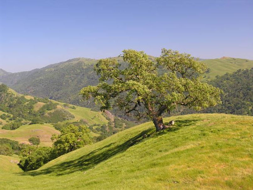 Home Oak Hill Ventures