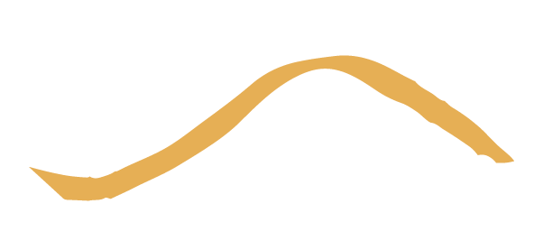 V7_CADERNO ID VISUAL _ BRUNA HERCOG-87.png