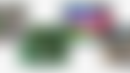 Real Time PPE Monitoring Scenarios