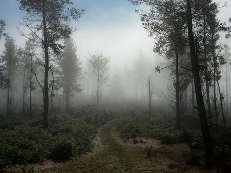 GR 11 - DEN DRUHÝ; 30,2 km (celkem 65,2 km)
