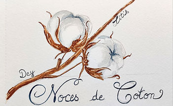 coton_edited.jpg