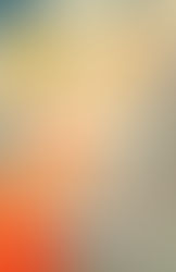Book cover for Great Circle by Maggie Shipstead with orange circles, a small airplane silhouette, and New York Times bestseller text.