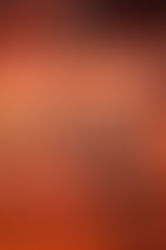 Book cover with a leopard on a tree at sunset, titled The Night Hunter by Natalie Moss; Coming July 28, 2026.