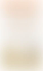 Two birds perched on a wooden fence, cover for "The Correspondent." Text includes "Virginia Evans" and "National Bestseller."