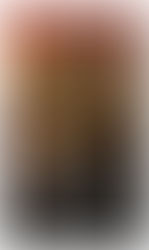 Two figures on a rooftop overlook a bustling medieval city. A dramatic sunset fills the sky. Text: "The Silverblood Promise" by James Logan.