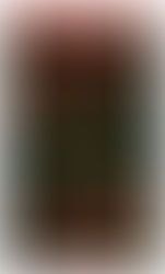 Book cover of "Dead Money" by Jakob Kerr. Red text on black with downward graph. A figure falls, evoking tension. Recognized as Barlin's Books Best of 2025.