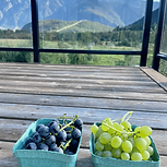 homeopath for healthy living
