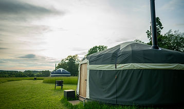 Wild Meadow East Raynham (18).jpg