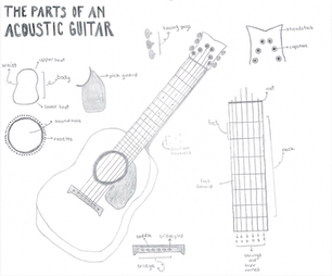 The Parts of a Guitar - Hand Drawn