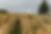 Champagne-Margaine-MadameB-35.jpg