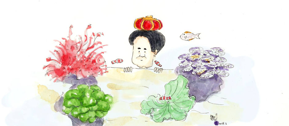 小國王的海水缸之海葵不受控