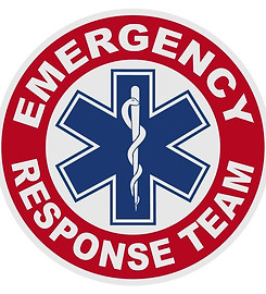 EMR2.jpg
