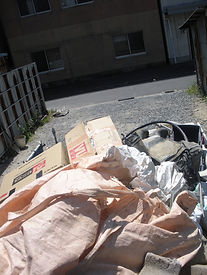 DSCN0517_edited.jpg