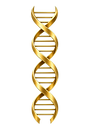 dna_doppelhelix_gold.png