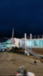 S__92094550_0