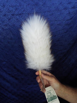 plumeaux 10''