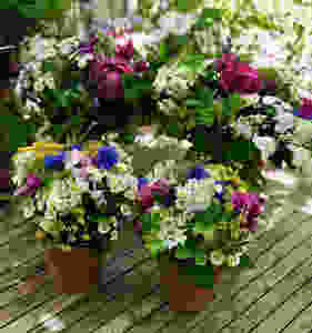 Group flower arrangements advises Francesca Sharp Flowers