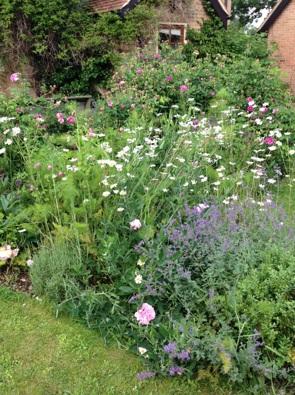 Francesca Sharp Flowers shares a view of her cutting patch