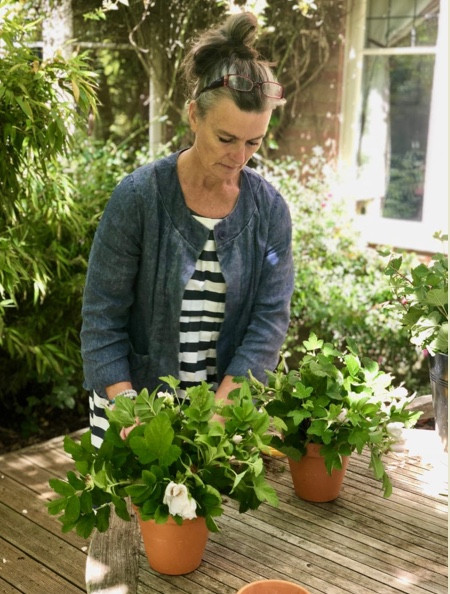 Start by adding your foliage