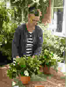 Start by adding your foliage