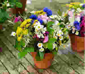 Francesca Sharp Flowers use delicate flowers in smaller arrangements