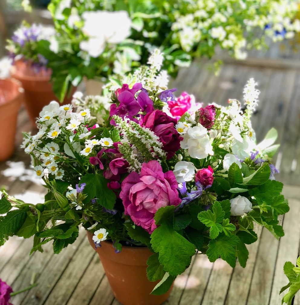 Flower arrangements from Francesca Sharp Flowers in Farnham