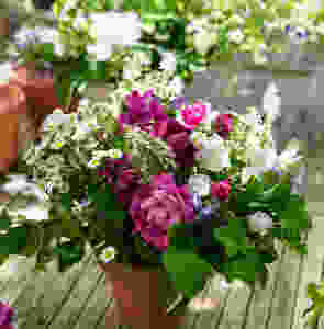 Flower arrangements from Francesca Sharp Flowers in Farnham