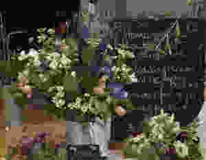 Francesca Sharp Flowers are available to order across Surrey and Hampshire