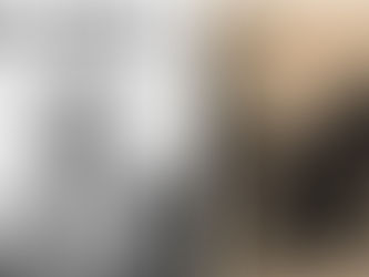 ¿Cómo llegó el fotoperiodismo al Perú?