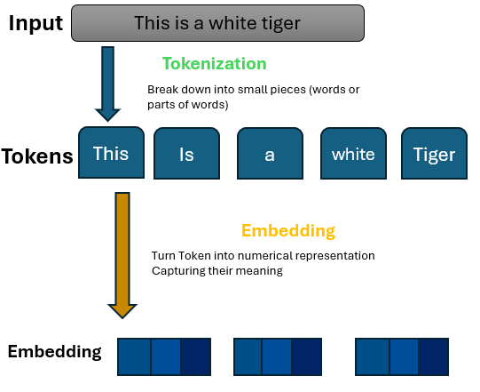 fig 1. Tokenization and Embedding