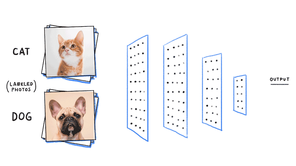 Example: Cats and Dogs Classification Model